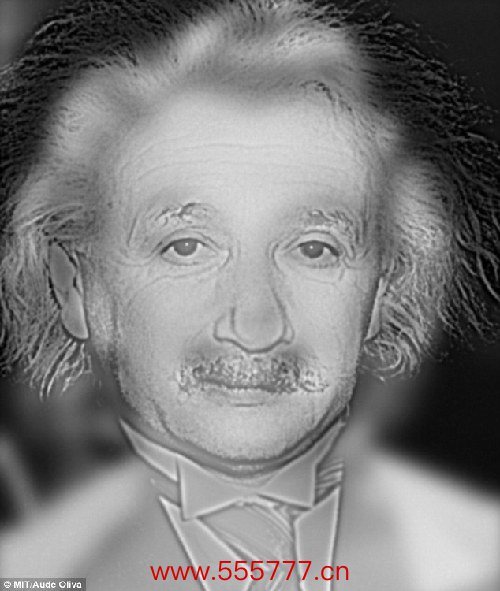 你看到爱因斯坦还是梦露？